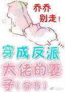 穿成反派大佬的妻子