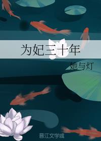 为妃三十年书评